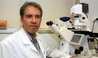 5342052m El director de Cardiología Medioambiental de la escuela de medicina David Geffen de la Universidad de California en Los Ángeles (UCLA), Jesús Araujo, revisa en un microscopio las muestras de colesterol contaminado por inhalaciones de humo de automotores. EFE
