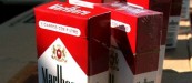Philip Morris International indicó también que la facturación en el primer trimestre del ejercicio fue de 17.779 millones de dólares, un descenso del 4 % respecto al mismo periodo del año pasado, en el que los ingresos ascendieron a 18.527 millones.
EFE/Archivo